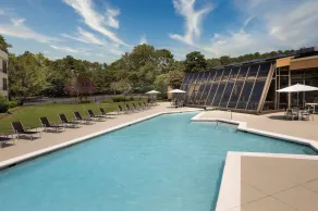 DoubleTree by Hilton Williamsburg - Vue de la chambre