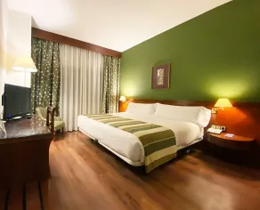 Hotel Torremangana - Chambre