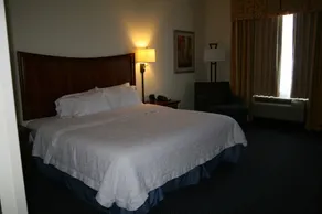 Hampton Inn Pine Grove - Rom
