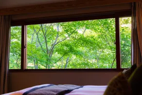 Ancient Hotel asama karuizawa - Vista dalla camera