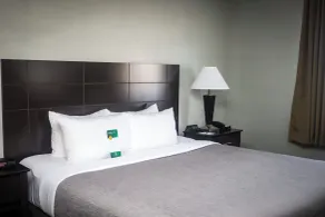 Quality Inn Colorado Springs Airport - Room