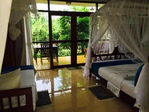 Peacock Villa - View from room