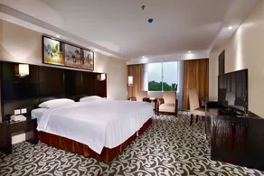 Aston Karimun City Hotel - Vue de la chambre