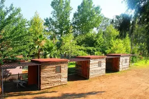 Medusa Camping - Rom