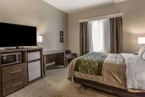 Comfort Inn & Suites Snyder - Chambre