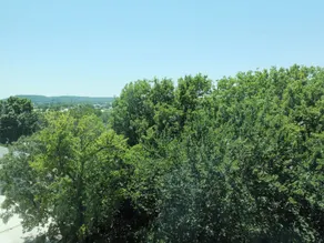 Brut Hotel - Vue de la chambre