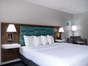 Hampton Inn Peachtree Corners Norcross - Chambre
