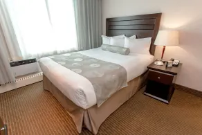 Campus Tower Suite Hotel - Chambre