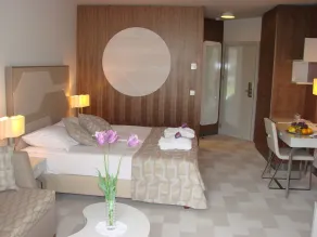 Hotel Terme - Room