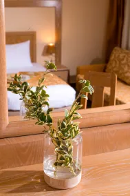 Alexandros Palace - Chambre
