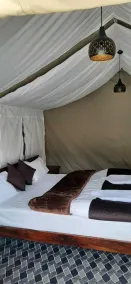 Rebo Camp And Resort Nubra - Room