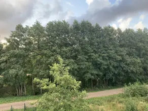 Seaside apartments - View from room
