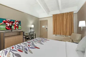 Red Roof Inn Tampa Bay - St. Petersburg - Rom