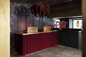 Aiola Living Boutique Hotel Graz - Reception