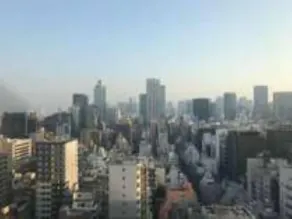 Tosei Hotel Cocone Ueno Okachimachi - Vue de la chambre