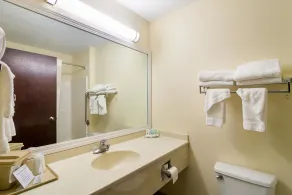 Quality Inn & Suites Harvey - Chicago Southland - Salle de bain