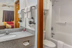 Econo Lodge Inn & Suites - Badeværelse