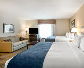 MainStay Suites Cartersville - Rom