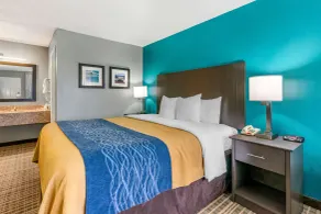 Comfort Inn Sun City Center - Ruskin - Tampa South - Chambre