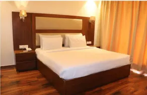 Pavna Palace Hotel - Chambre