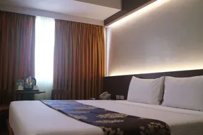 Palm Hotel Manila - Room