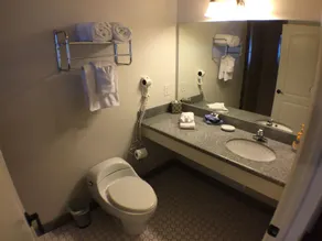 Whitney Mountain Lodge - Badezimmer