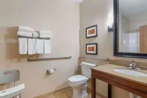 Comfort Suites McKinney-Allen - Chambre