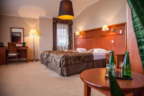 Farmona Hotel Business & SPA - Chambre