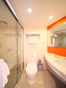 Ibis Nanjing Confucius Temple - Bathroom