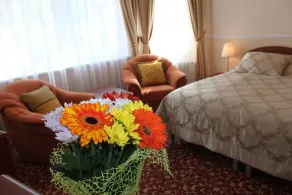 Spa Hotel Purkyně - Chambre