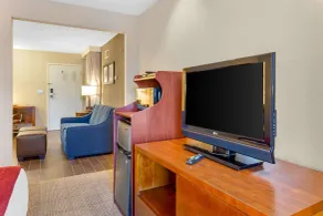 Comfort Suites Oakbrook Terrace near Oakbrook Center - Chambre