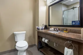 Best Western Plus Fort Stockton Hotel - Salle de bain