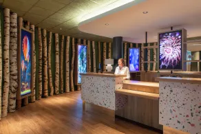 Inter-Hotel Resort Alteora - Réception
