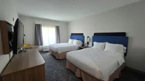 Hampton Inn & Suites Chicago Deer Park - Chambre