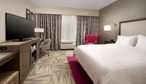 Hampton Inn Louisville East/Hurstbourne - Room