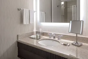 DoubleTree Suites by Hilton Minneapolis Downtown - Chambre