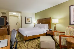 Hilton Garden Inn Atlanta North/Alpharetta - Chambre