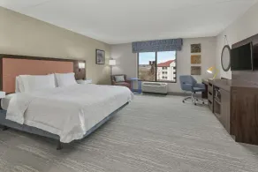 Hampton Inn & Suites Macon I-75 North - Chambre