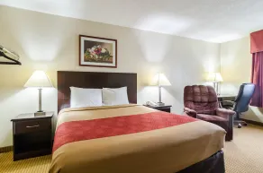 Econo Lodge Lexington - Rom