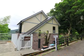 Angel Forest Okawa Shiomisaki - Camera