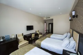 Tbilisi Inn - Room