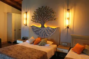 Assos Zeytinhan Hotel Special Class - Chambre