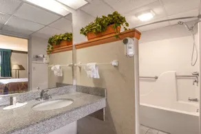Super 8 by Wyndham Wapakoneta - Bathroom