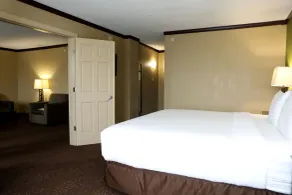 Holiday Inn Chicago Oakbrook by IHG - Værelse