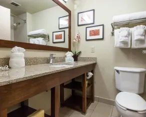 Comfort Suites Tulsa Central - Chambre