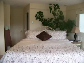 Moonlit Cove B&B - Chambre