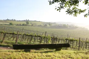 Chianti Yoga - The Tuscan Collection - Udsigt fra værelset
