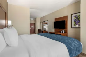 Comfort Suites Buda - Austin South - Chambre