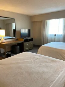 Embassy Suites by Hilton Chicago Schaumburg Woodfield - Chambre