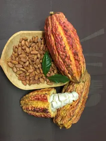 La Casa De La Nonna - Restaurant